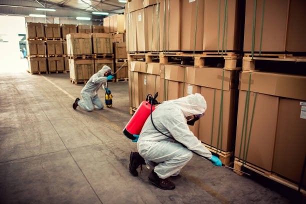 Best Best Pest Control Near Me  in Childersburg, AL
