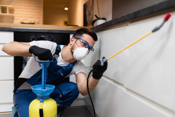 Best Cockroach Control Services  in Childersburg, AL