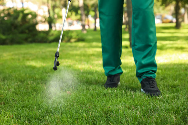 Best Pest Removal Services  in Childersburg, AL