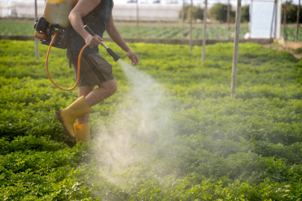 Best Wasp Removal Services  in Childersburg, AL
