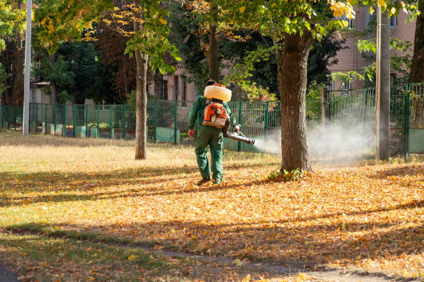 Best Bed Bug Extermination  in Childersburg, AL