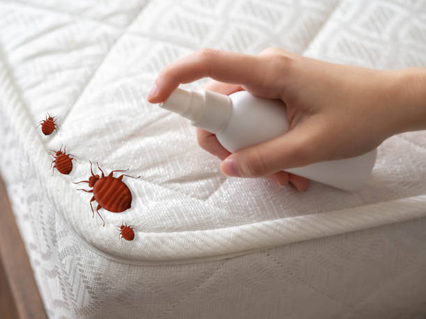 Best Pest Inspection Near Me  in Childersburg, AL