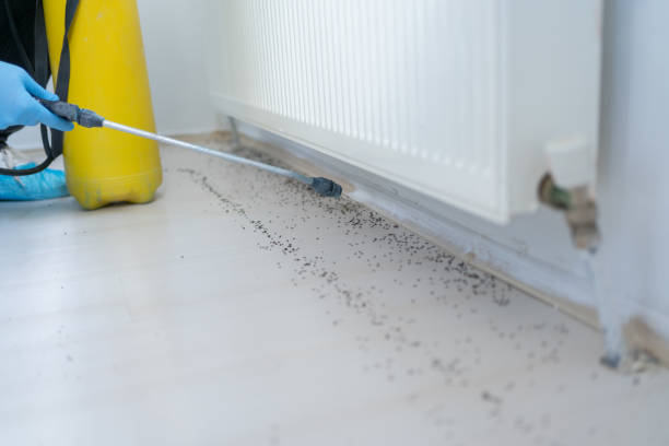 Best Pest Control Treatment  in Childersburg, AL