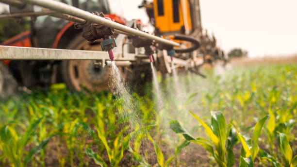 Best Pest Control Near Me in Childersburg, AL