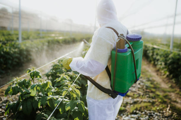  Childersburg, AL Pest Control Pros